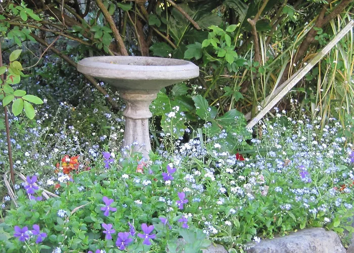 Brook House B&B & Cottages
